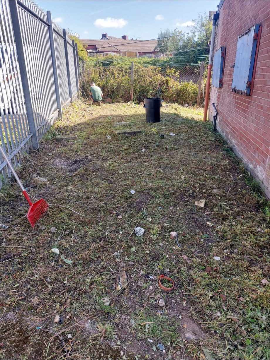 The same strip between the metal fence and brick building after vegetation clearance