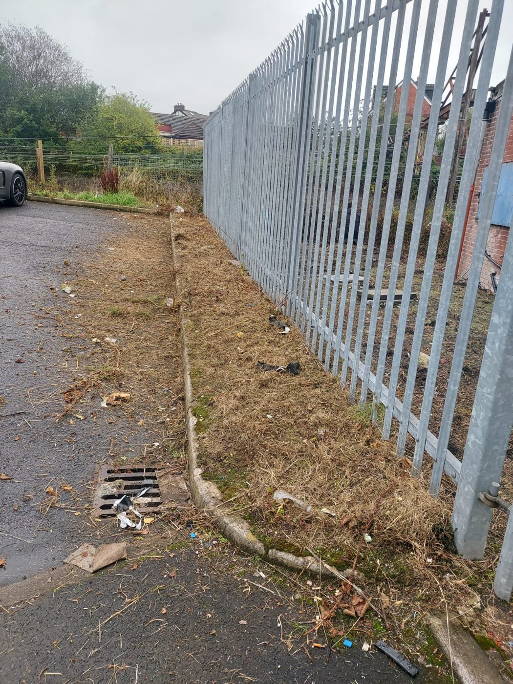 Cleared vegetation along a metal fence beside a car park